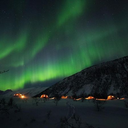 Camp North Tour Hotel Tromsø Buitenkant foto