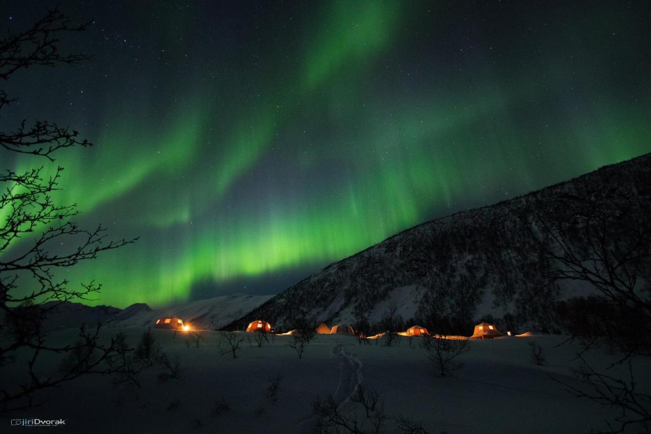 Camp North Tour Hotel Tromsø Buitenkant foto